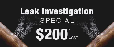 Leak Investigation Discount Wai O Taiki Bay
